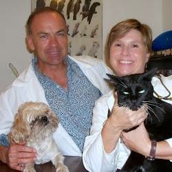 Bay Road Animal Clinic - Miami Beach , United States