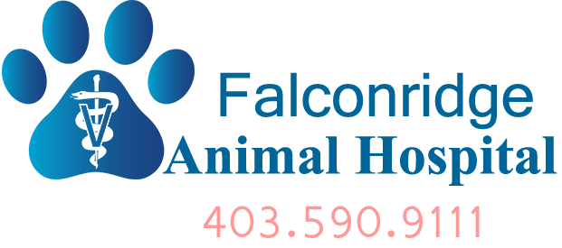 Falconridge Animal Hospital - Calgary , Canada