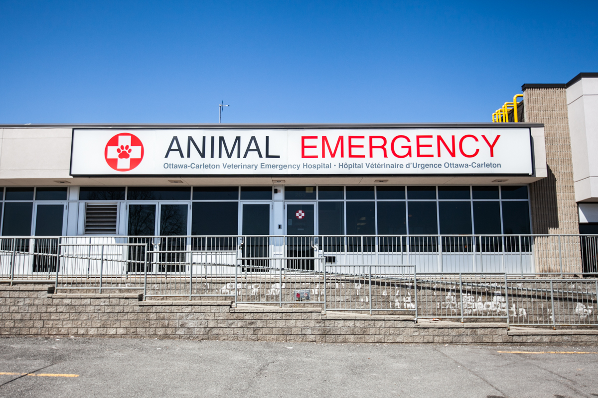 Animal Emergency And Specialty Hospital - Ottawa , Canada