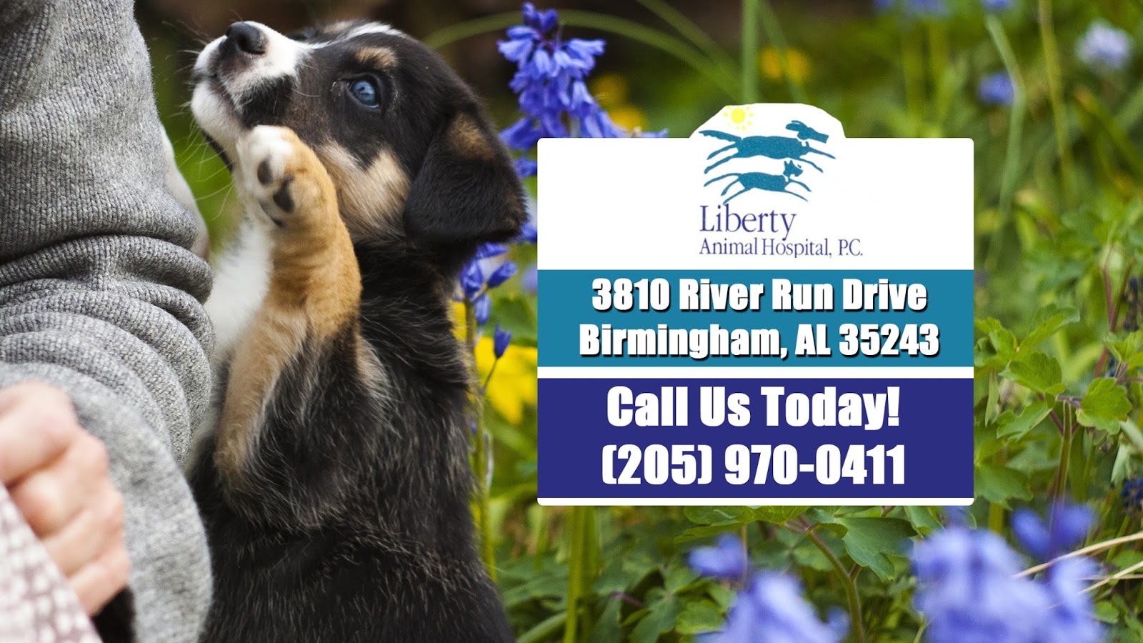 Vca Liberty Animal Hospital - Birmingham , United States