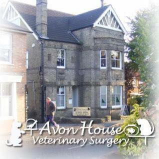 Apollo Vets Maldon - Maldon , United Kingdom