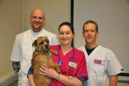 Vets For Pets Derby Kingsway - Derby , United Kingdom