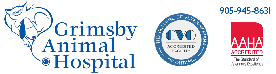 Grimsby Animal Hospital - Grimsby , Canada
