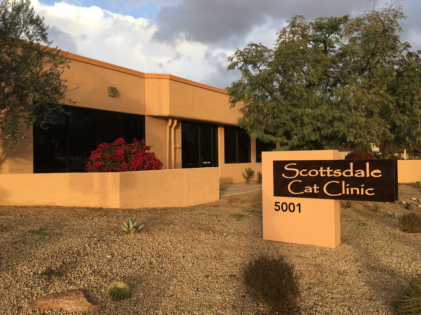 Scottsdale Cat Clinic - Scottsdale , United States