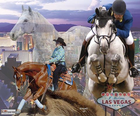 Desert Pines Equine Center - Las Vegas , United States