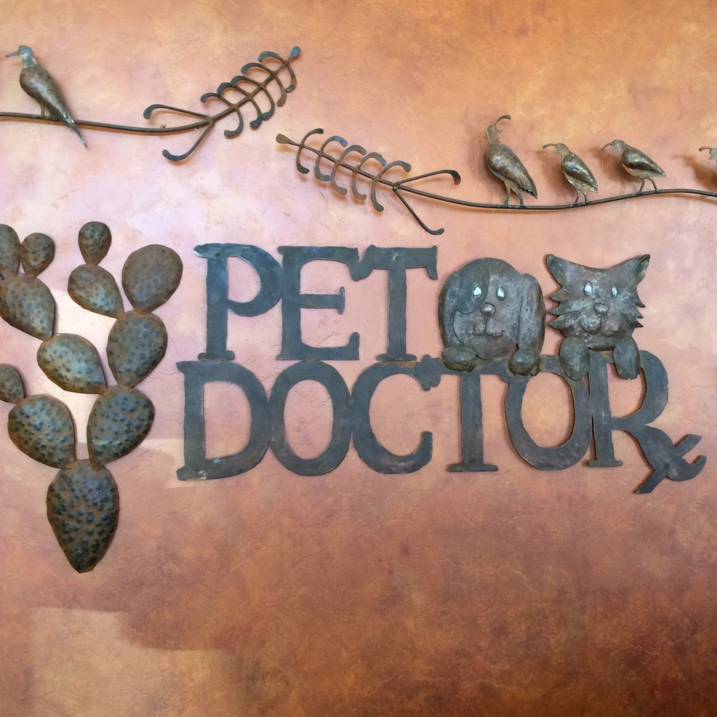 Pet Doctor - Tucson , United States