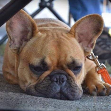 Vorna Valley Animal Hospital - Midrand , South Africa
