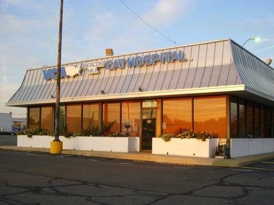 Beacon store cat hospital