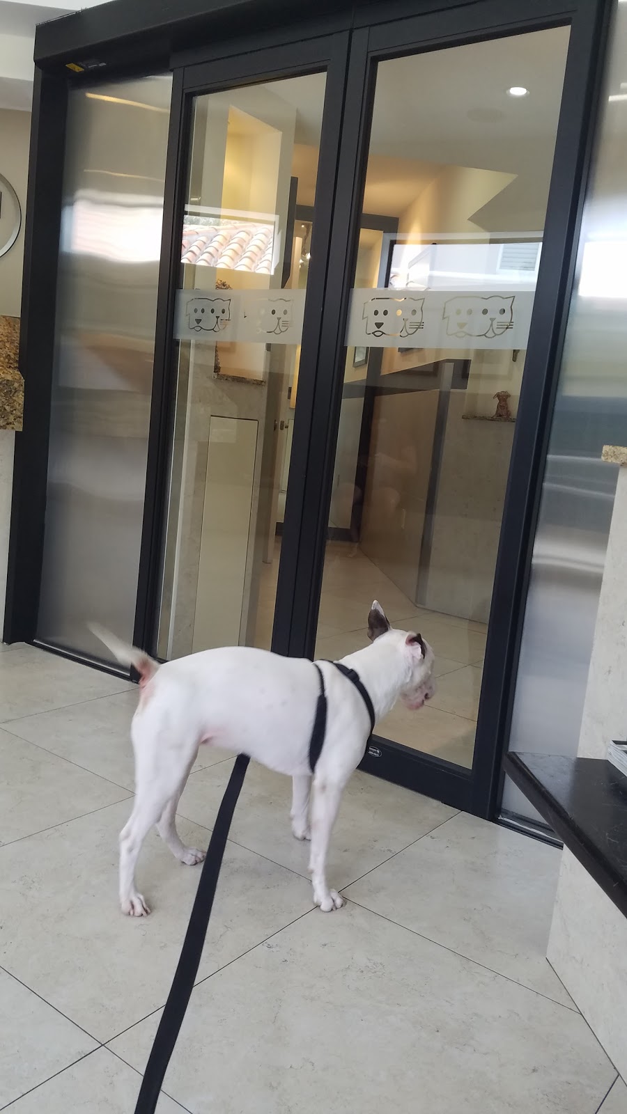 Biscayne Vet Center - Miami , United States
