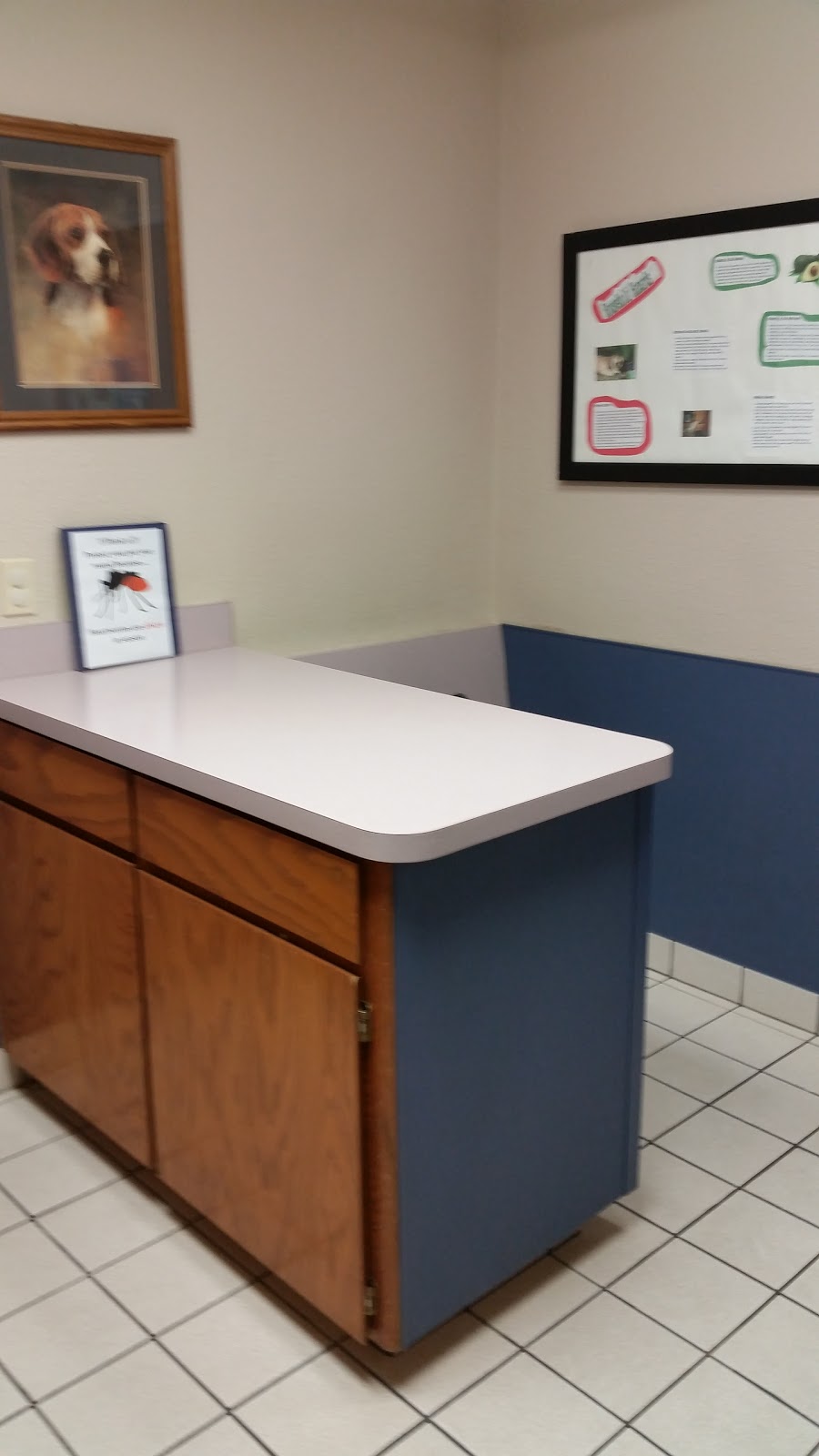 Creekside Animal Hospital - Arlington , United States