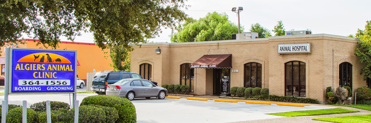 Vca Algiers Animal Hospital - New Orleans , United States
