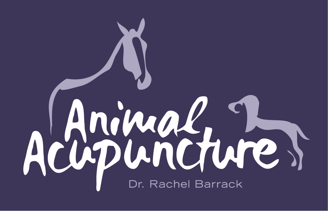 Animal Acupuncture - New York , United States