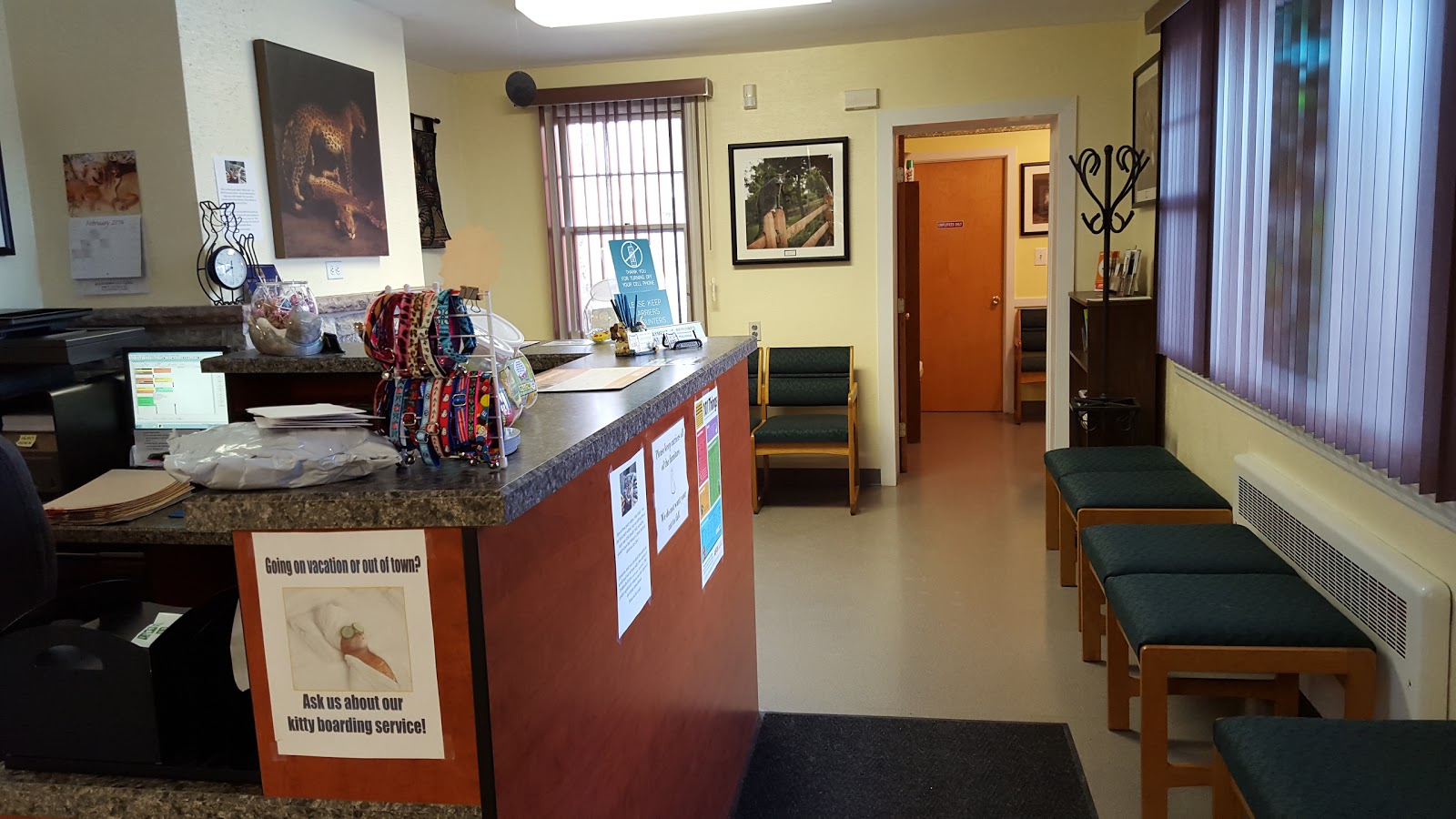 Allentown Cat Clinic Pc - Allentown , United States