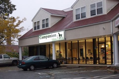 Companion Animal Hospital Of Milford - Milford , United States