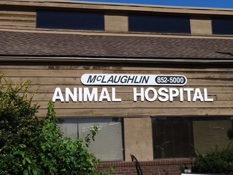 Vetco Total Care Animal Hospital - Warren , United States