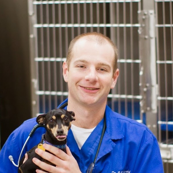 Leander Veterinary Clinic - Leander , United States