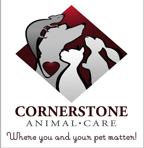 Cornerstone Animal Care - Frankfort , United States