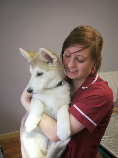 Ambleside Veterinary Clinic - Worcester , United Kingdom