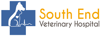 Meadowood Veterinary Hospital - Winnipeg , Canada