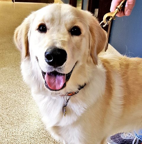 Cherokee Hills Veterinary Hospital - Warr Acres , United States