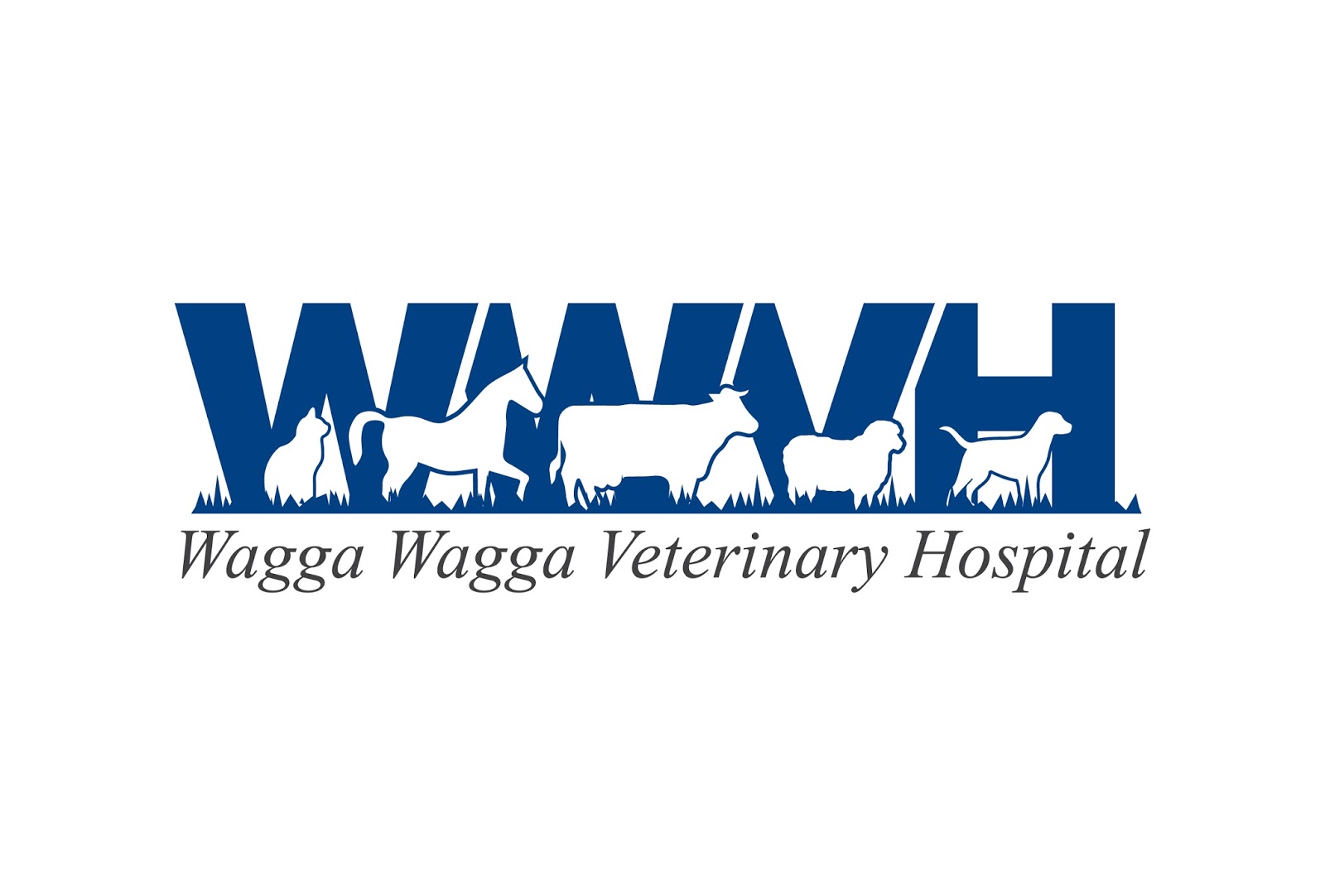 Wagga Wagga Veterinary Hospital - Junee , Australia