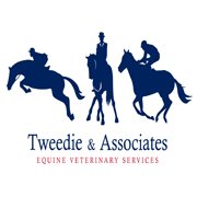Tweedie And Assoc Equine Veterinary | Horse Vet Mornington Peninsula - Moorooduc , Australia