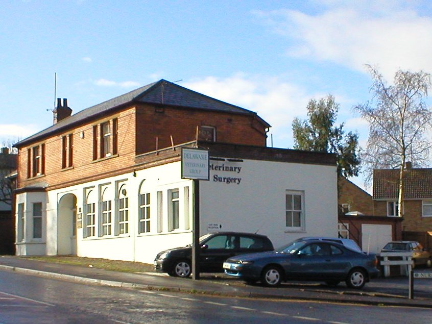 Delaware Veterinary Group - Yeovil , United Kingdom