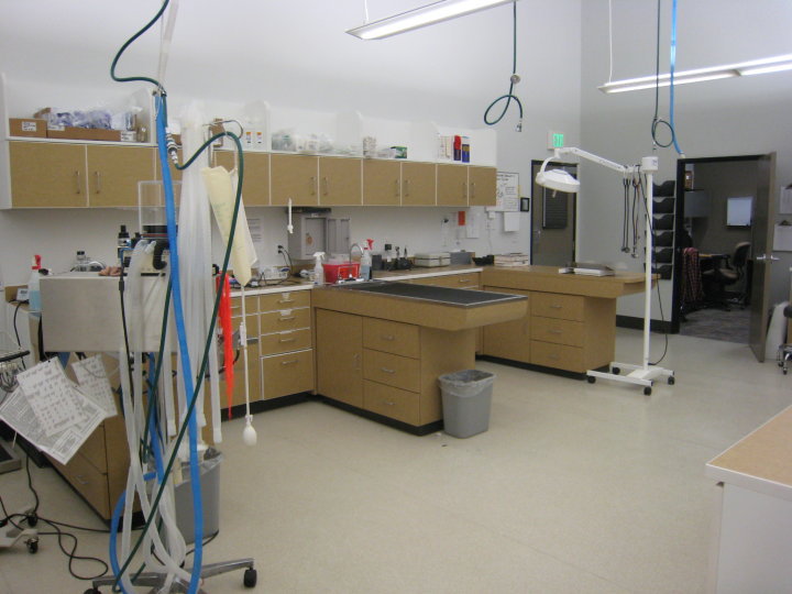 Fresno Veterinary Specialty And Emergency Center - Fresno , United States