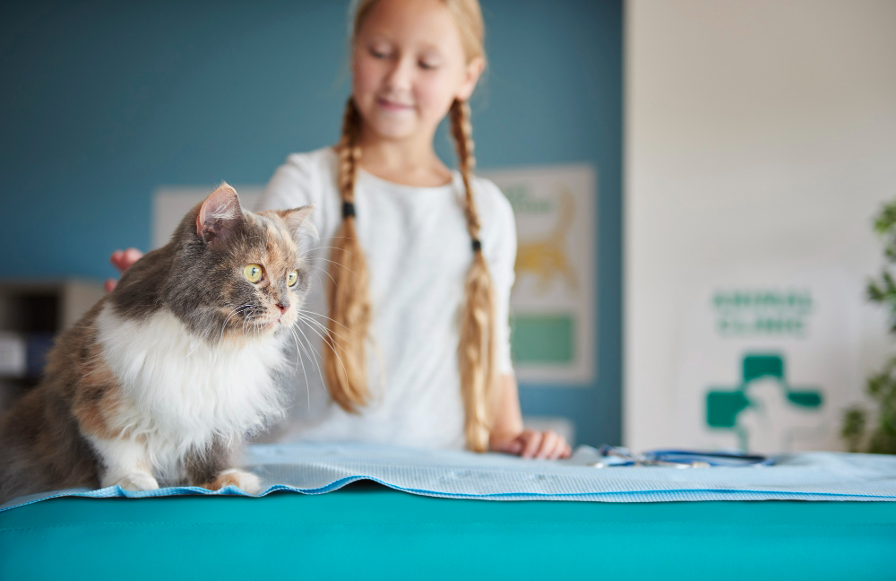 Pet Insurance