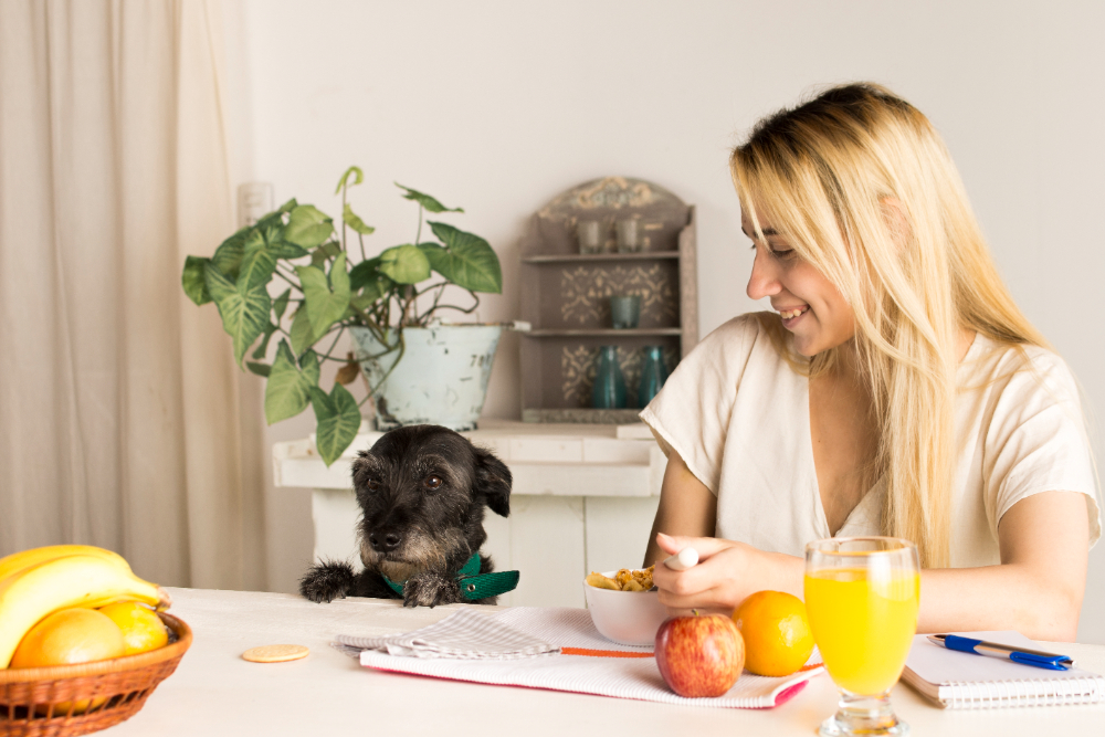 Pet Nutrition