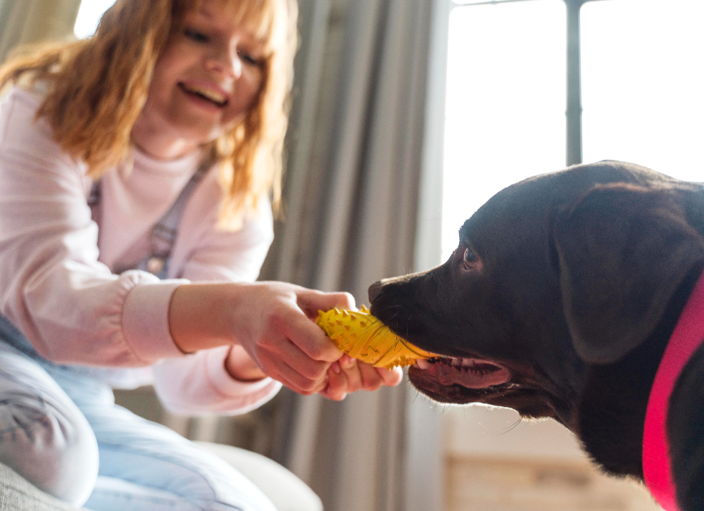 Pet Nutrition