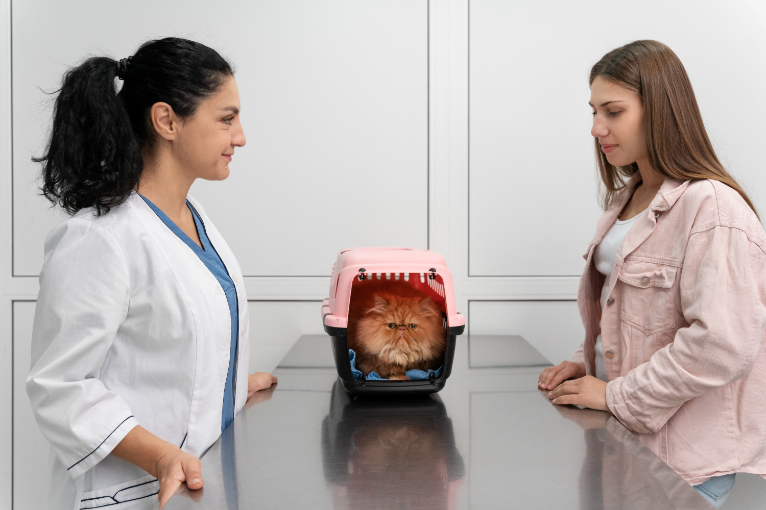 Veterinary Clinic