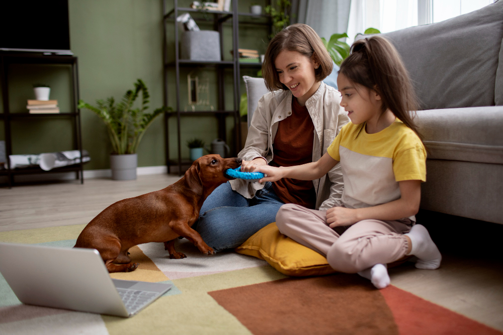Pet Safety