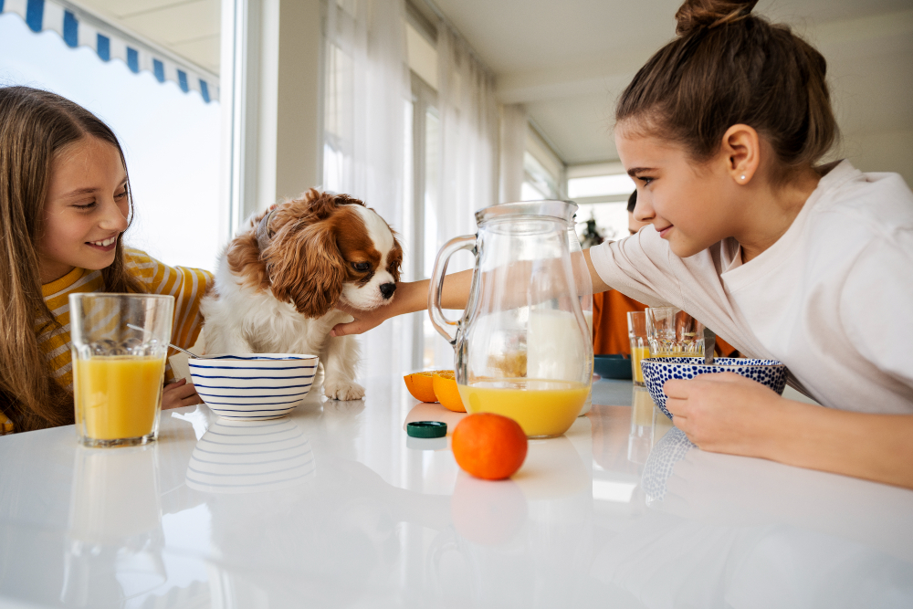 Pet Nutrition
