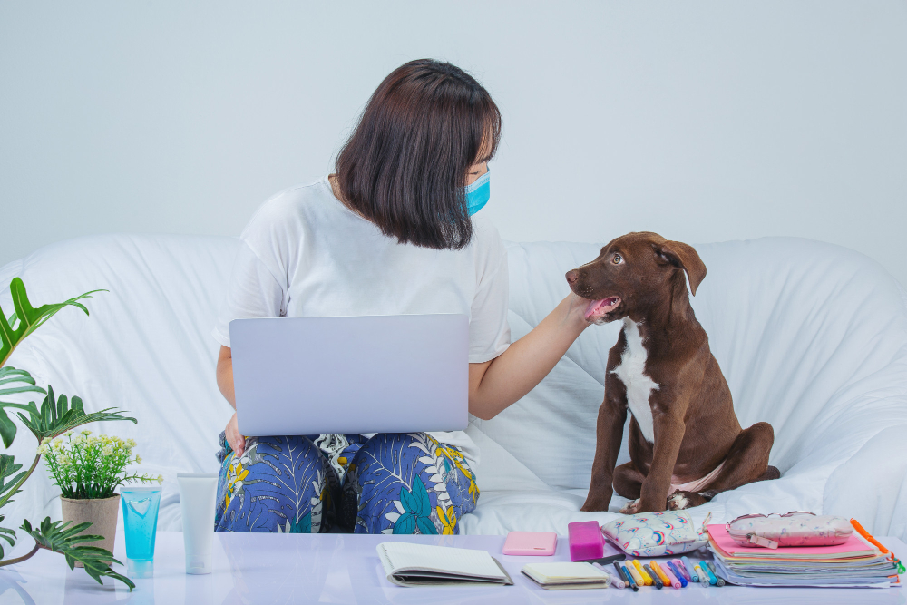 Pet Safety