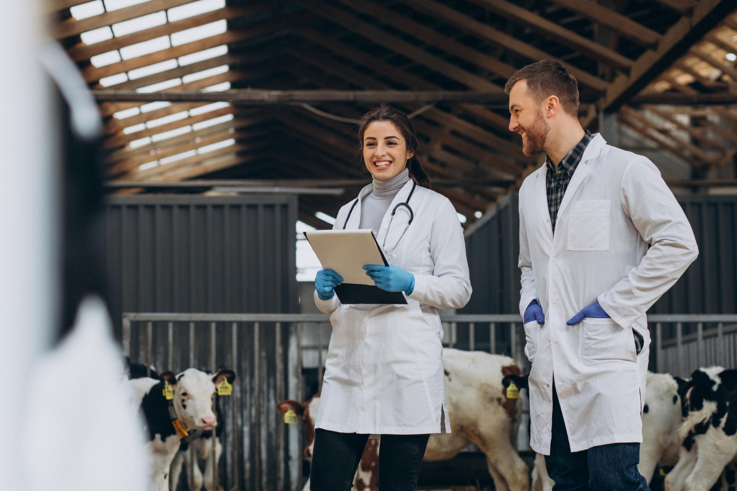 Veterinary Practice