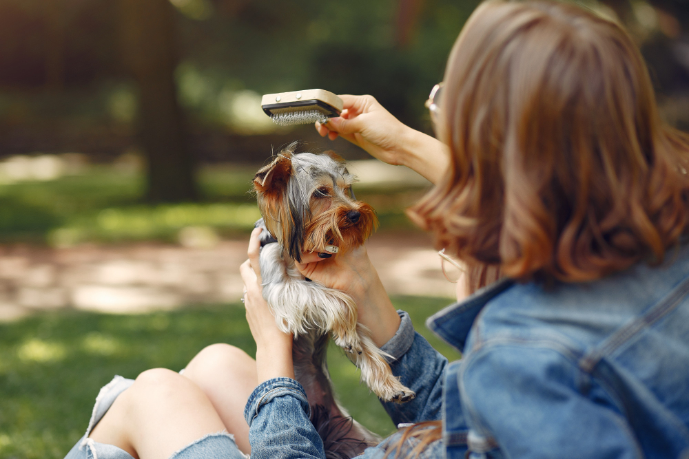 Pet Safety