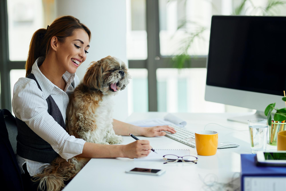 Pet Insurance