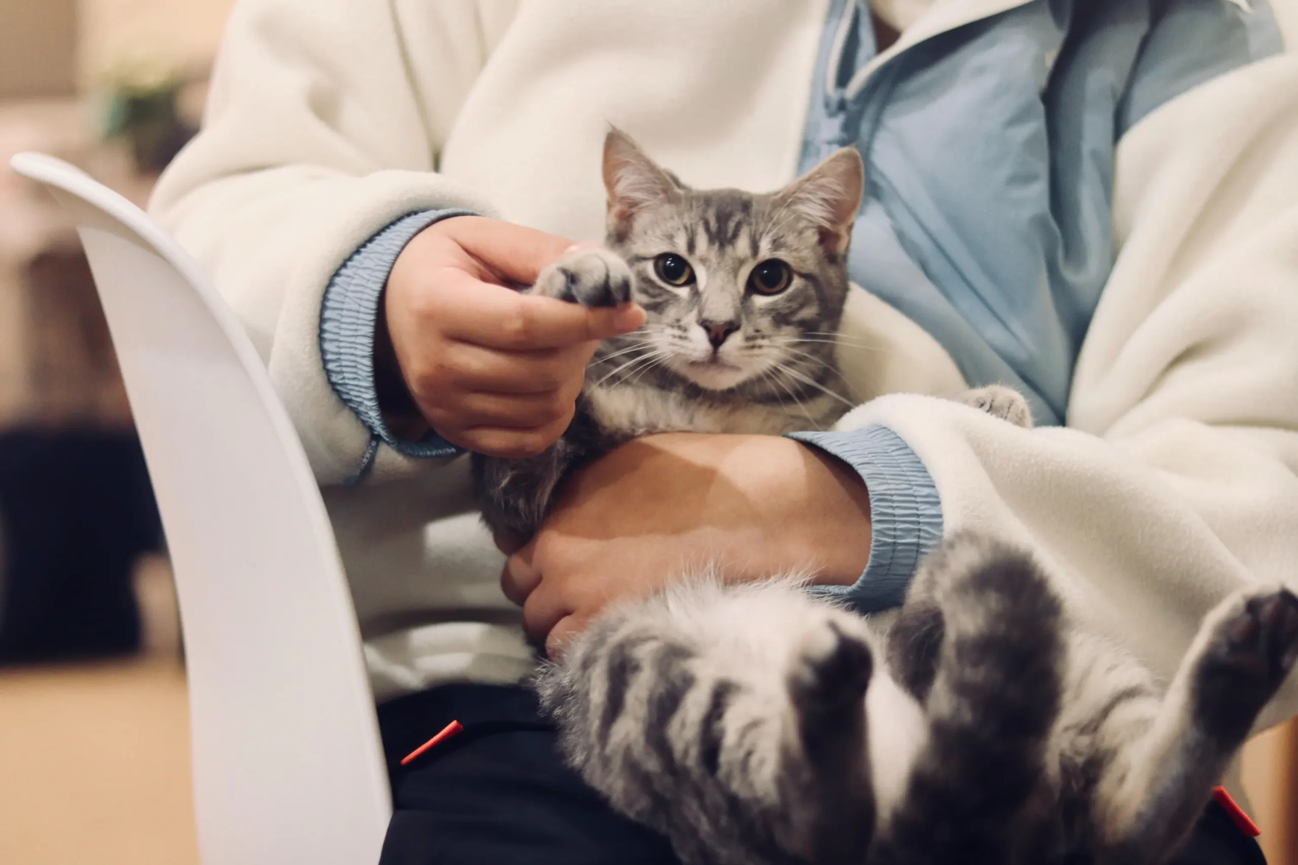 Veterinary Clinic